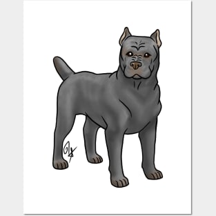 Dog - Cane Corso - Cropped Gray Posters and Art